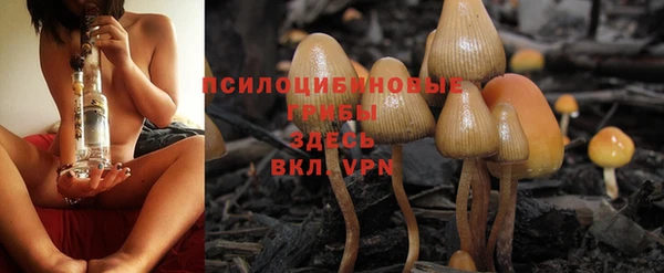 стафф Алексеевка