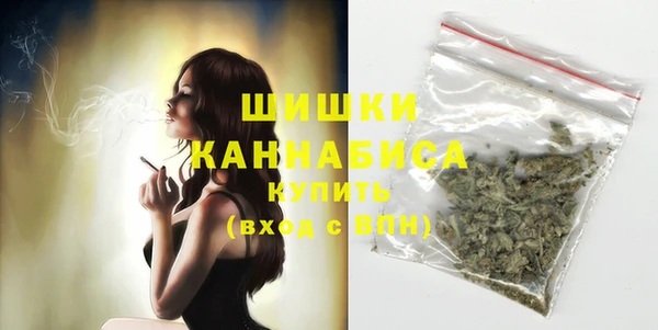 сатива Дмитровск