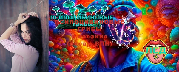ПСИЛОЦИБИНОВЫЕ ГРИБЫ Абаза