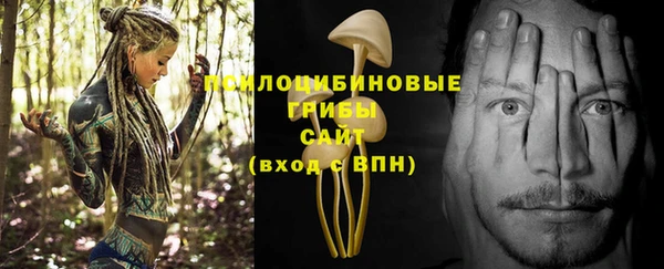 спайс Алексин